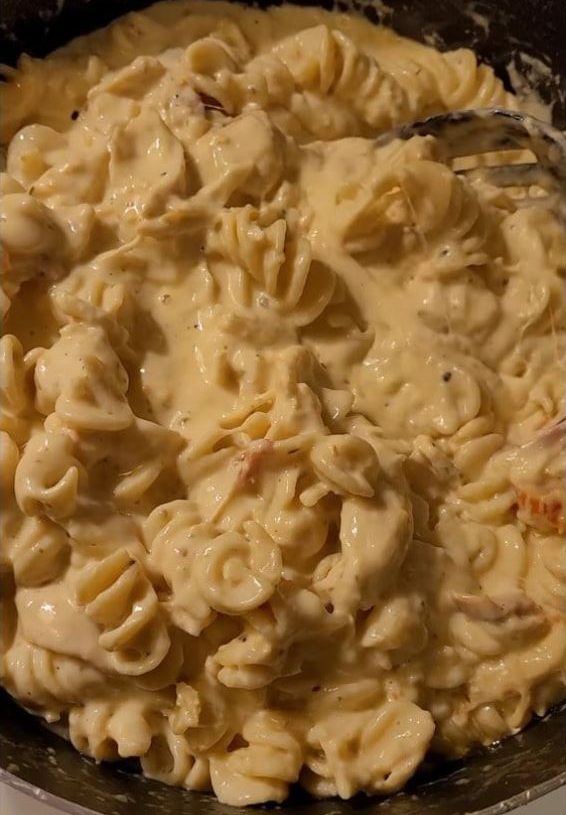 CHICKEN ALFREDO RECIPE (HOMEMADE)is an easy and quick healthy keto dinner ideas recipes that you can cook if you like . In Tasty Recipes blog we got the best easy dinner.