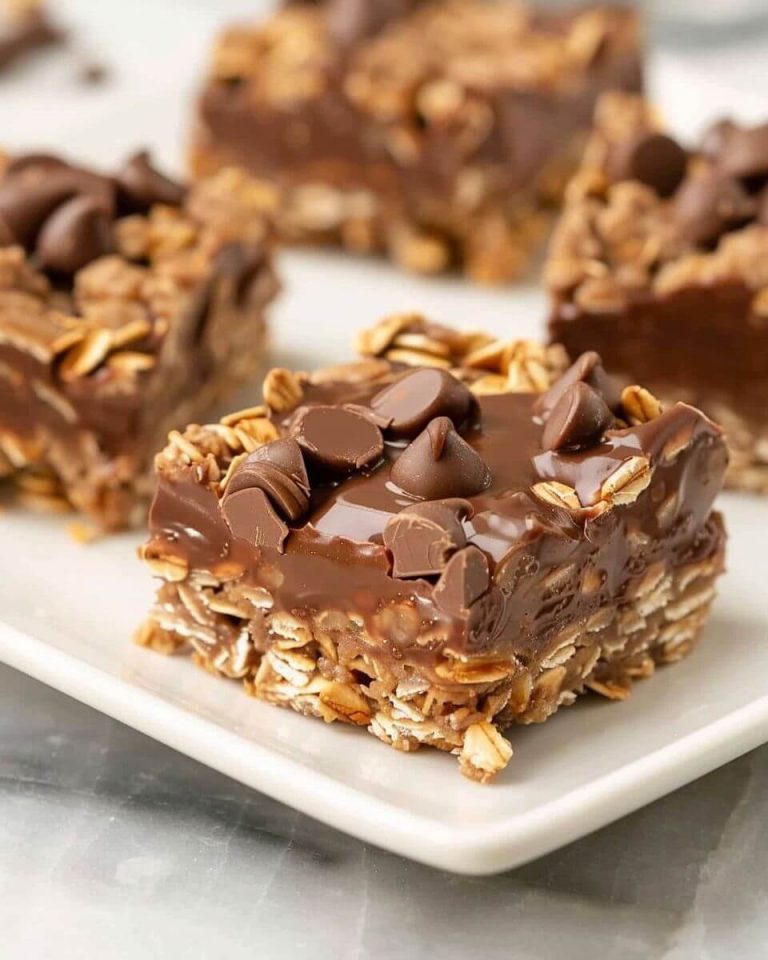 No Bake Chocolate Oat Bars