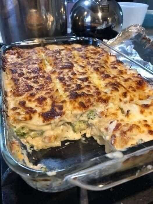 Chicken and Broccoli Lasagnais an easy and quick healthy keto dinner ideas recipes that you can cook if you like . In Tasty Recipes blog we got the best easy dinner.