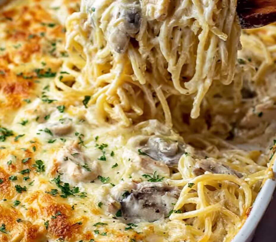Creamy Chicken Tetrazziniis an easy and quick healthy keto dinner ideas recipes that you can cook if you like . In Tasty Recipes blog we got the best easy dinner.